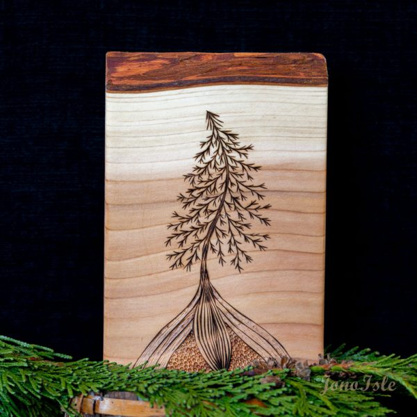 Fir Tree #8