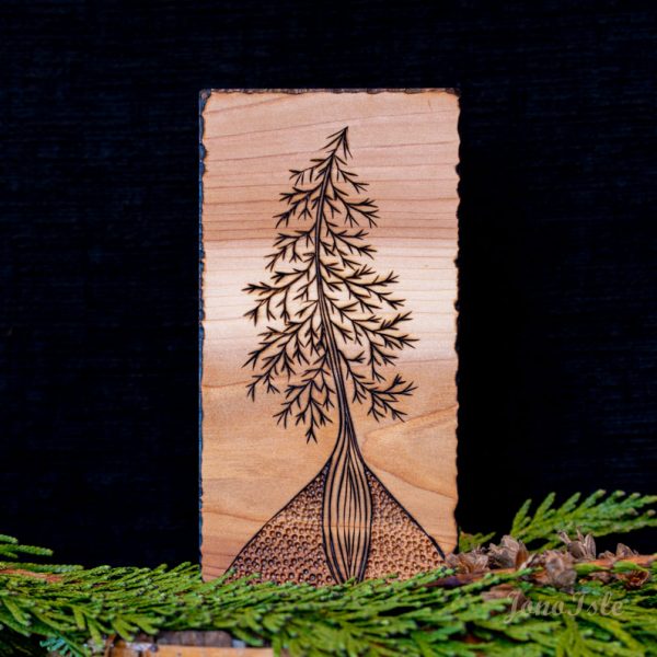 Fir Tree Block #3