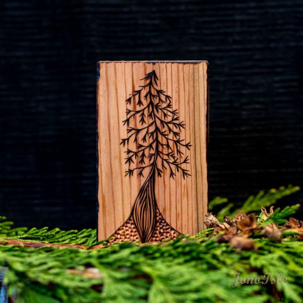 Fir Tree Block #5