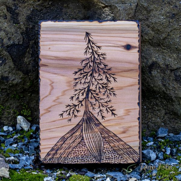 Fir Tree Block #11